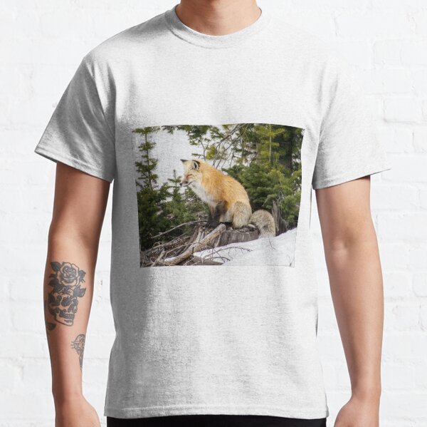Snoozing Fox Classic T-Shirt