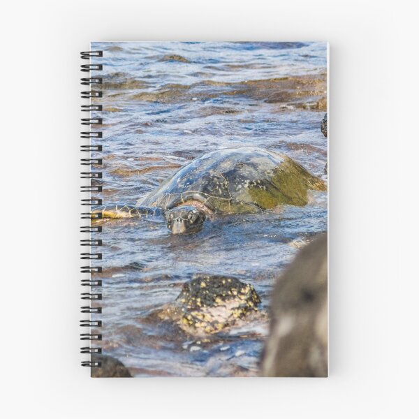 Item preview, Honu 3 designed and sold by KensLensDesigns.