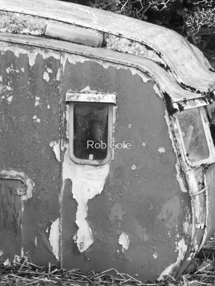 Old Caravan Rotting in a Field by robcole