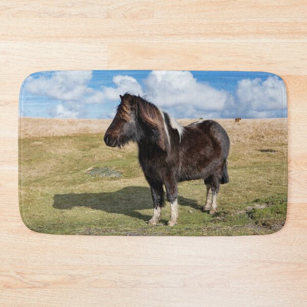 Item preview, Dartmoor Pony designed and sold by Dave Hare Photography.