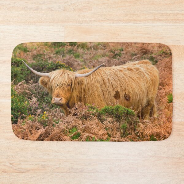 Item preview, Highland lad designed and sold by Dave Hare Photography.