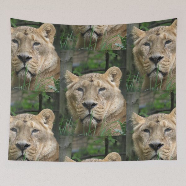 Item preview, Proud Lioness designed and sold by BsPhotographs.