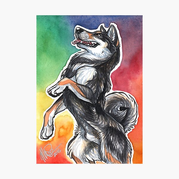 Black & Tan Stand! Photographic Print