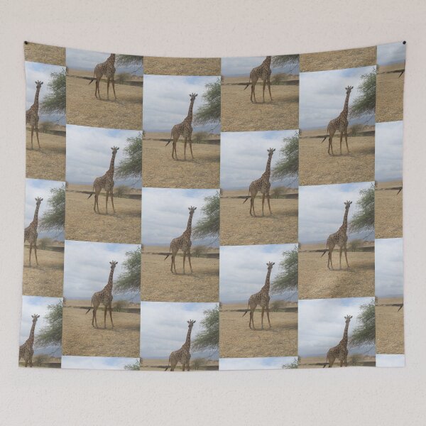 Item preview, Africa, Tanzania, Serengeti NP, Animals, Giraffe, Photography, BebiCervin designed and sold by BebiCervin.