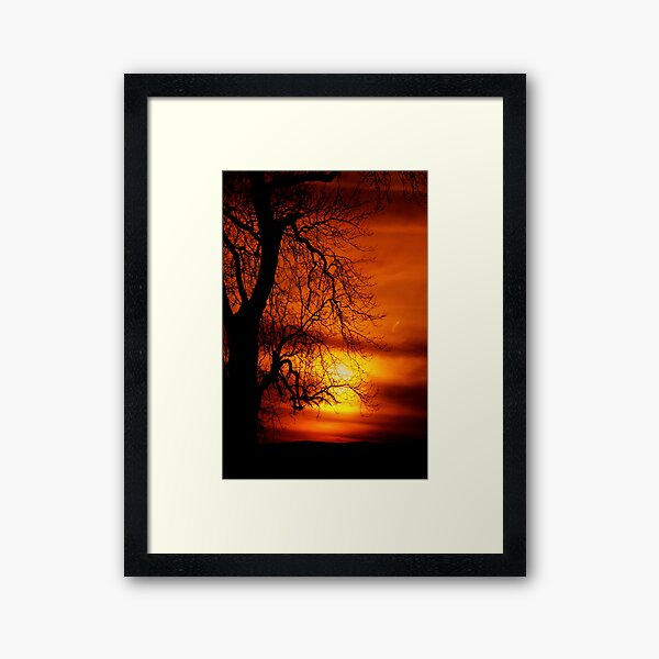 Reaching For The Light. Framed Art Print