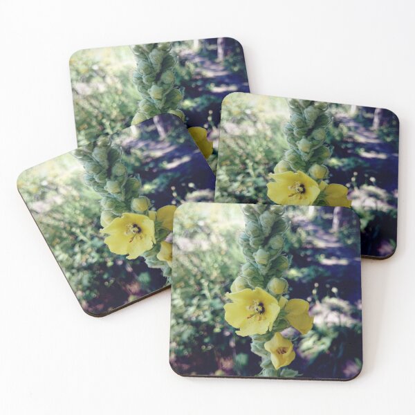 Item preview, mullein designed and sold by Gourmetkater.