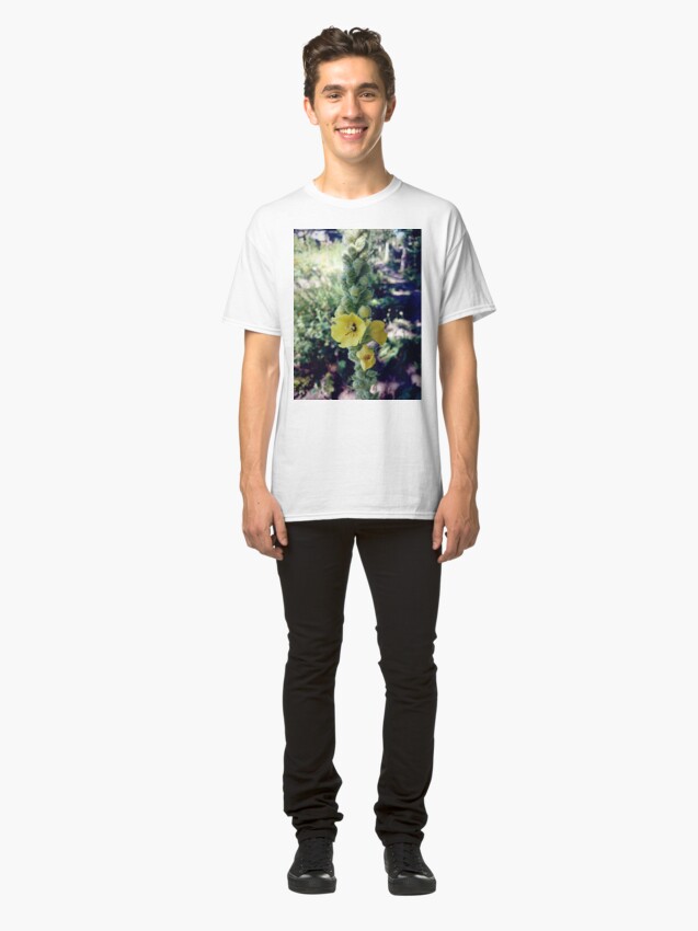 Alternative Ansicht von Königskerze Classic T-Shirt