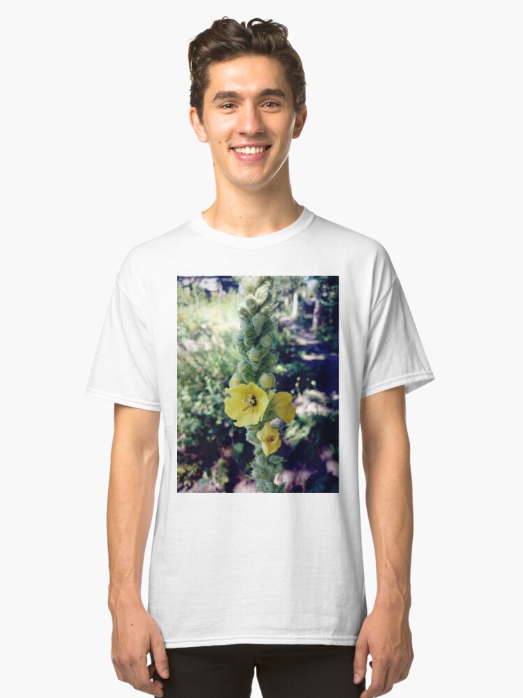 Alternative Ansicht von Königskerze Classic T-Shirt