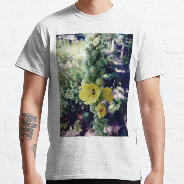 Königskerze Classic T-Shirt