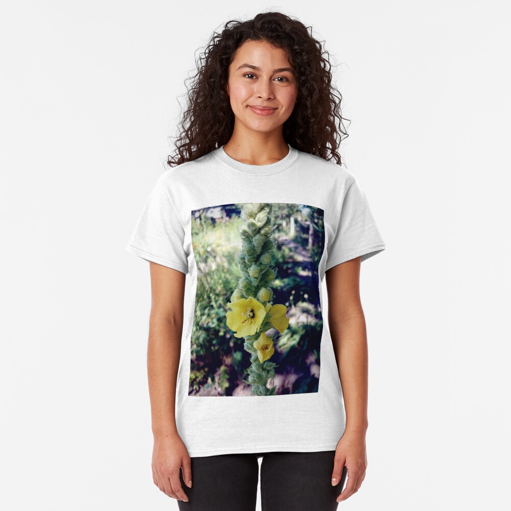 Königskerze Classic T-Shirt