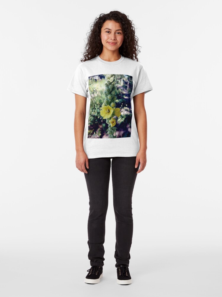 Alternative Ansicht von Königskerze Classic T-Shirt