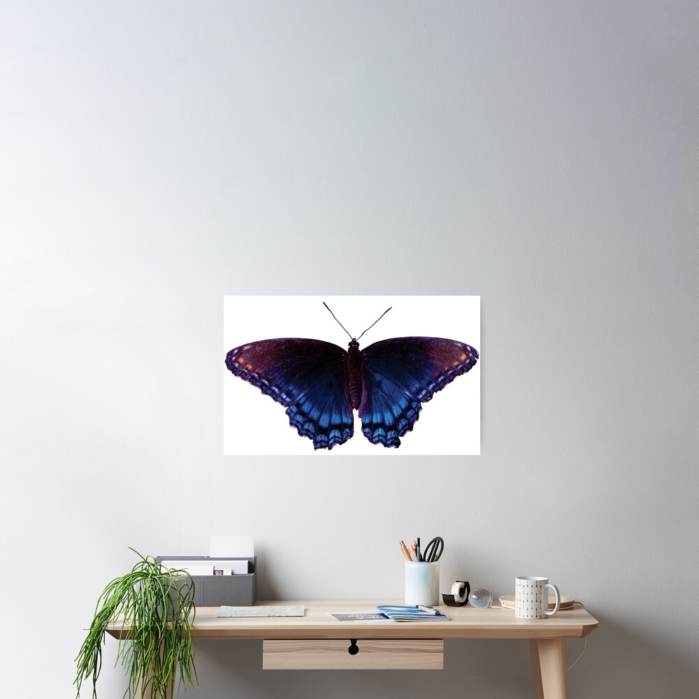 Item preview, Poster designed and sold by futureimaging.