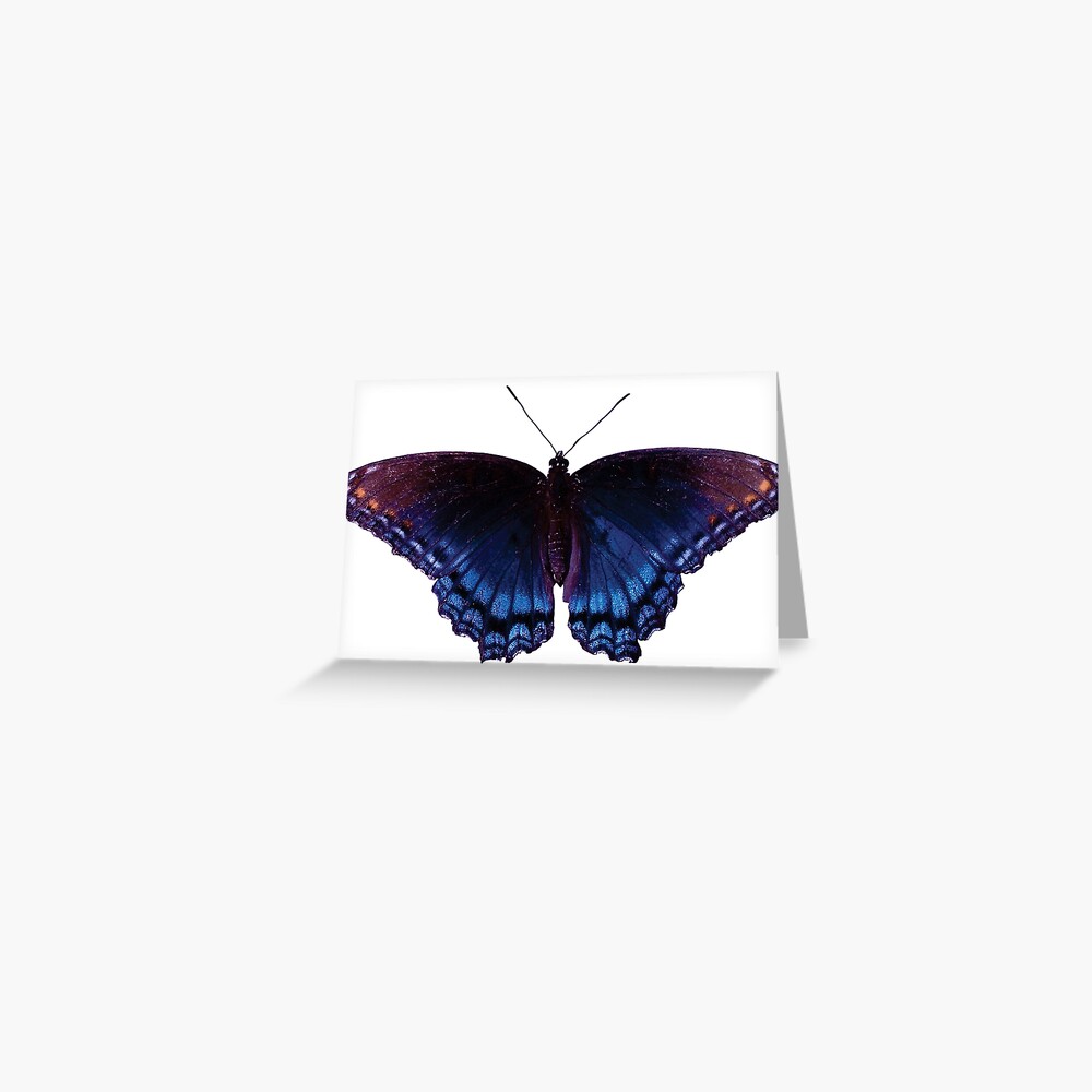 Item preview, Greeting Card designed and sold by futureimaging.