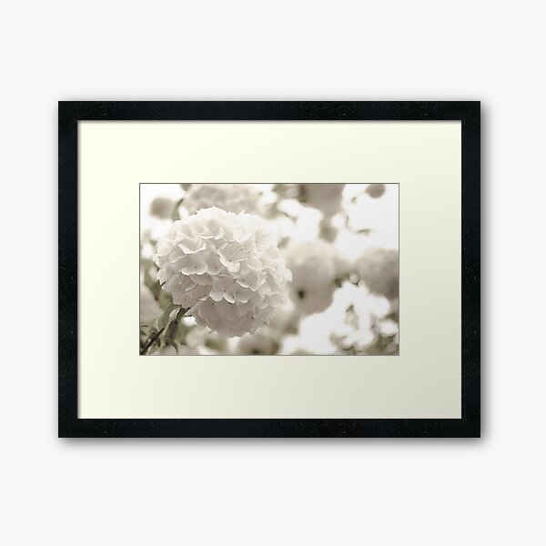Butterfly Floral Framed Art Print