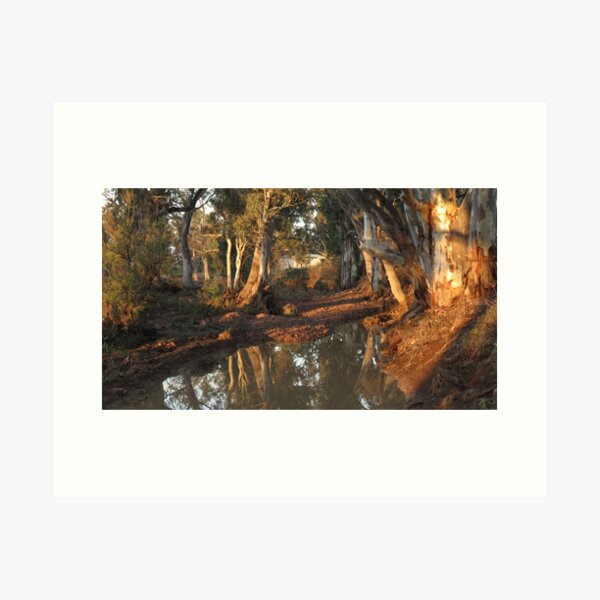 Item preview, Flinders Ranges Creek designed and sold by outbackjack.
