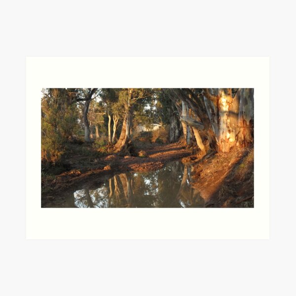 Flinders Ranges Creek Art Print