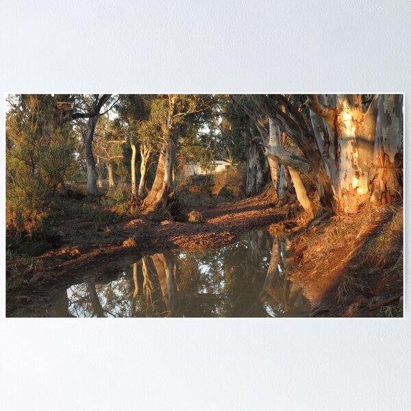 Item preview, Flinders Ranges Creek designed and sold by outbackjack.