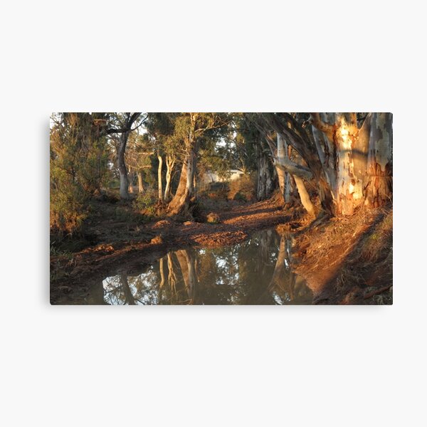 Item preview, Flinders Ranges Creek designed and sold by outbackjack.
