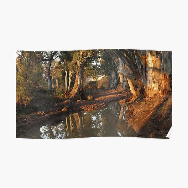 Flinders Ranges Creek Poster