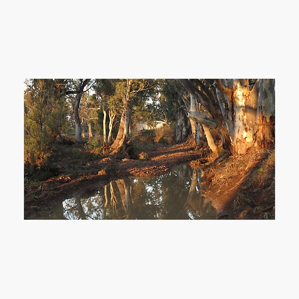 Item preview, Flinders Ranges Creek designed and sold by outbackjack.