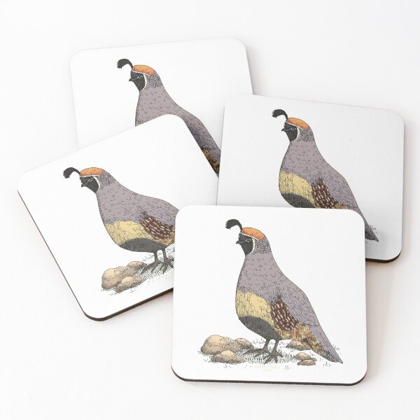 Item preview, chubby male gambel quail designed and sold by ca--lv--in.