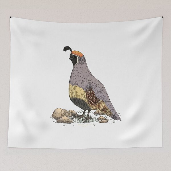 Item preview, chubby male gambel quail designed and sold by ca--lv--in.