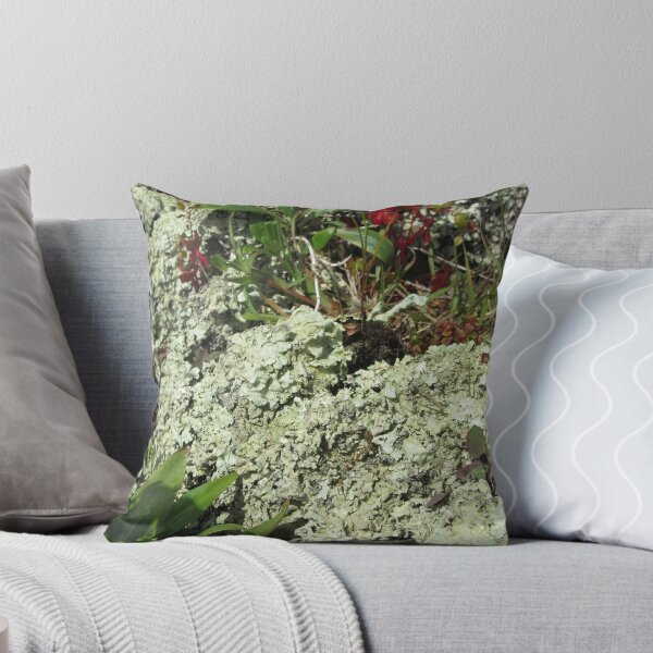 Item preview, Lichen Covered Wall designed and sold by lezvee.