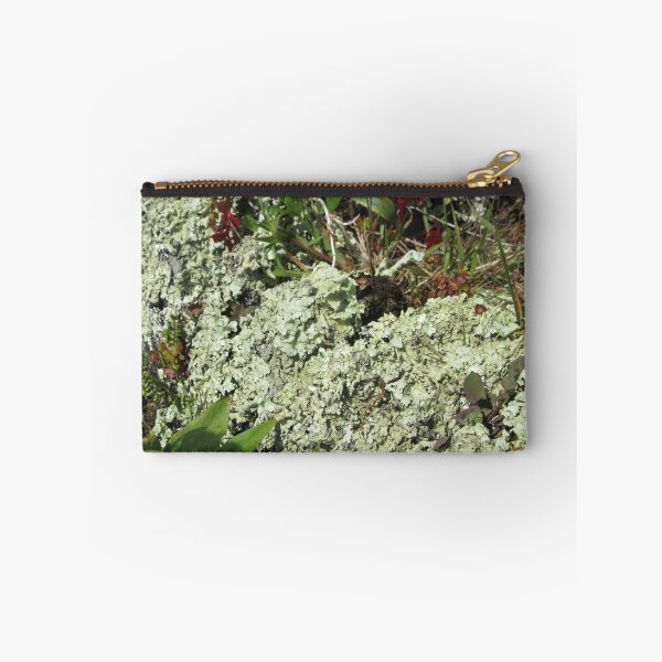Item preview, Lichen Covered Wall designed and sold by lezvee.