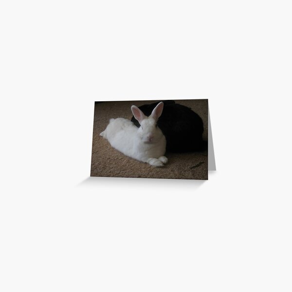 Spotted Greeting Card