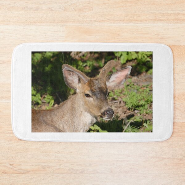 Item preview, Blacktail Buck in the Spring... designed and sold by RichImage.
