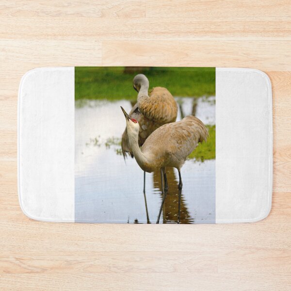 Item preview, Sandhill Crane designed and sold by RichImage.