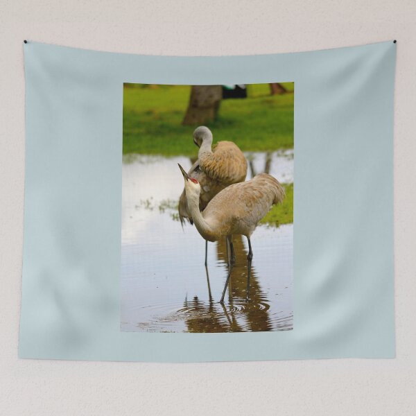 Item preview, Sandhill Crane designed and sold by RichImage.