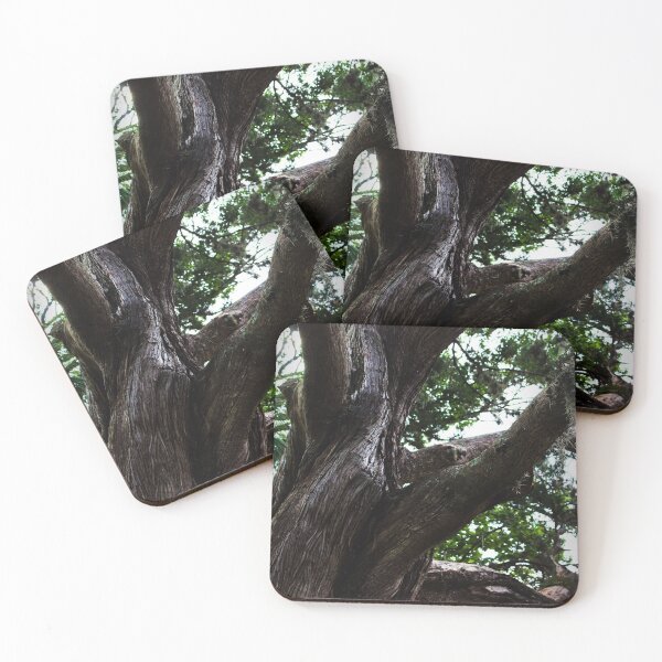 Item preview, Tree 5 designed and sold by rebeccaholbrook.