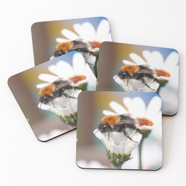 Item preview, Balancing act designed and sold by GreyFeatherPhot.