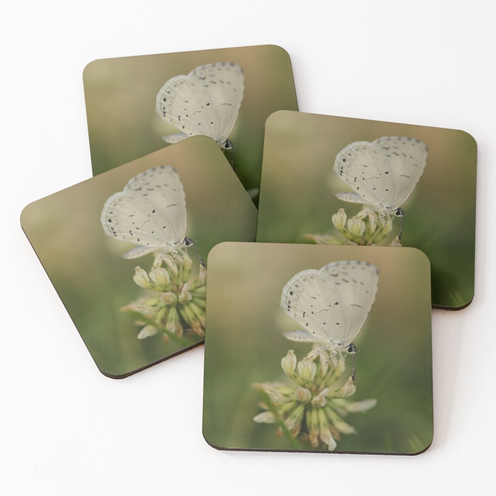 Item preview, Coasters (Set of 4) designed and sold by StampCity.