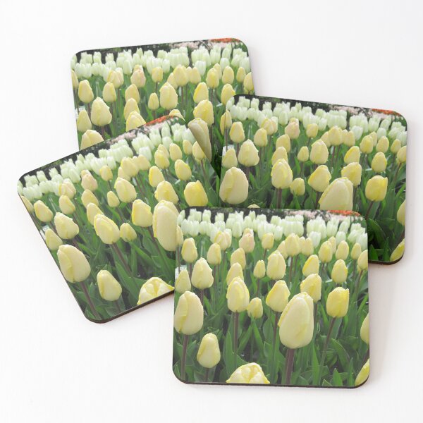 Item preview, Pale Fire - Tulips in the Keukenhof Gardens designed and sold by BlueMoonRose.