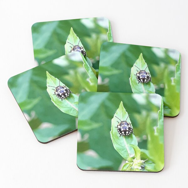 Item preview, lady bug designed and sold by sundos.
