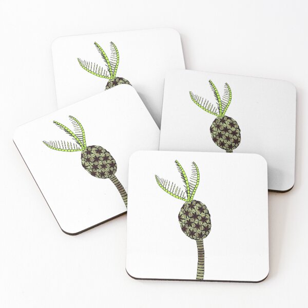 Item preview, Ovulocystites designed and sold by Stanton.