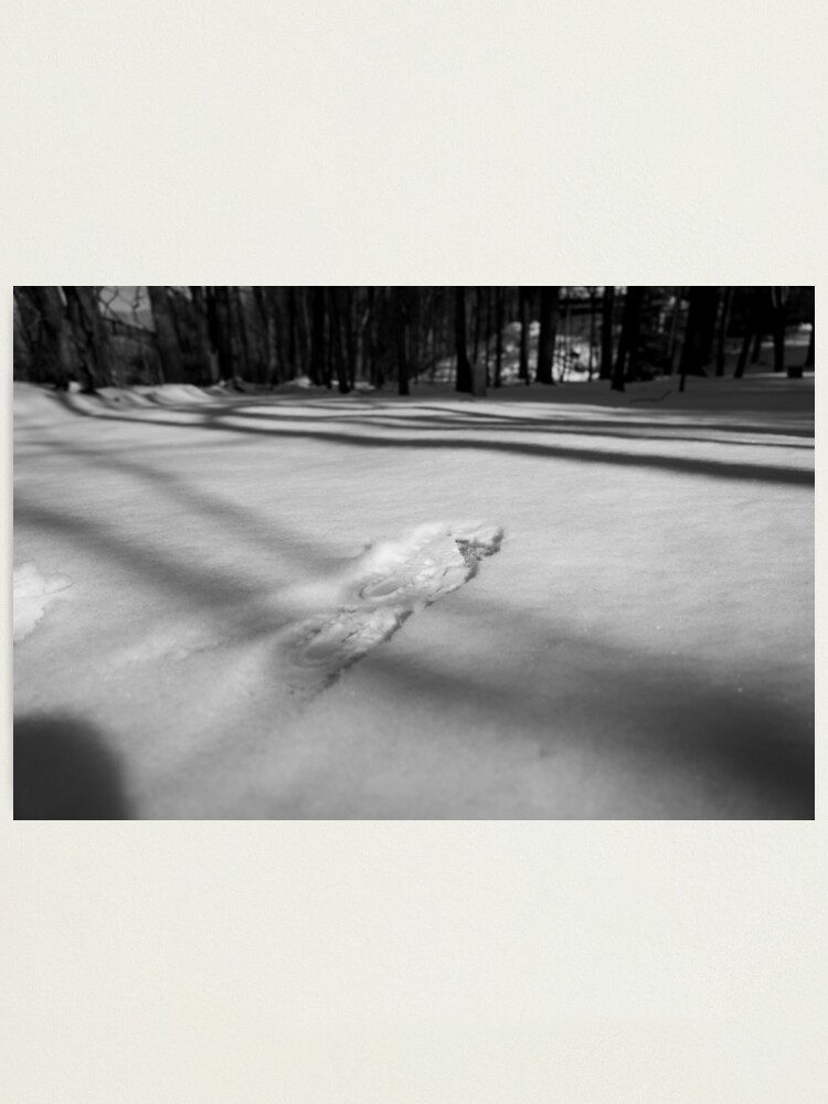 Alternate view of Darkened Prints Photographic Print