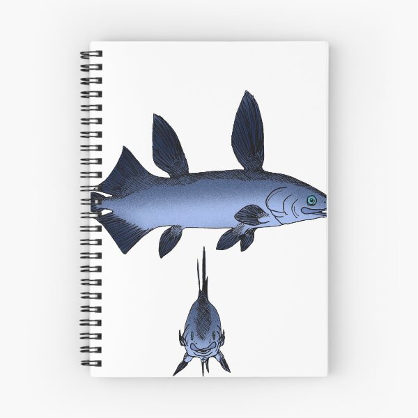 Item preview, Megalocoelacanthus designed and sold by Stanton.
