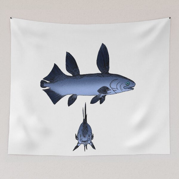 Item preview, Megalocoelacanthus designed and sold by Stanton.