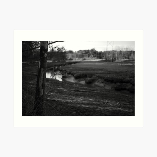 Visceral Spaces #2 Art Print
