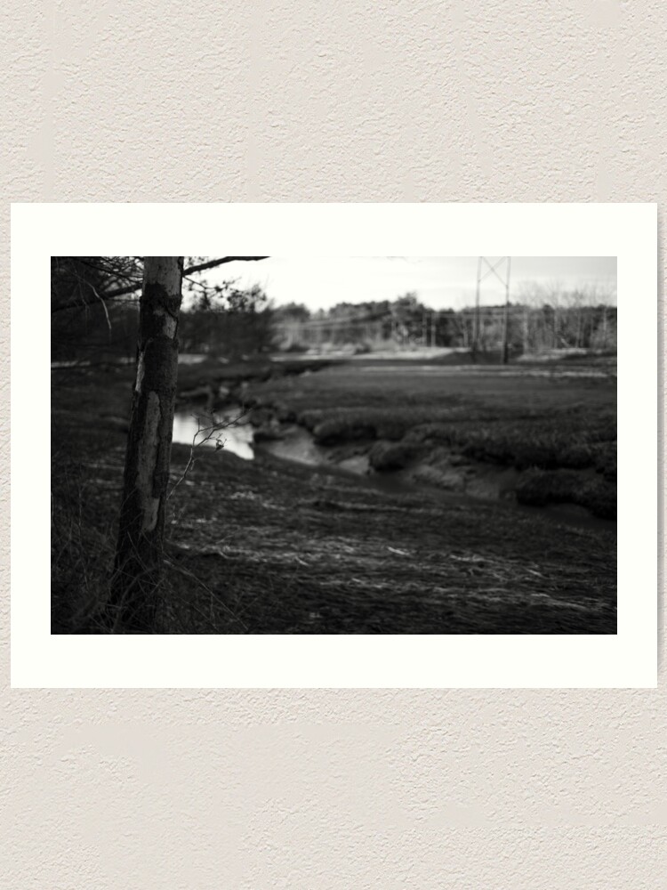 Alternate view of Visceral Spaces #2 Art Print