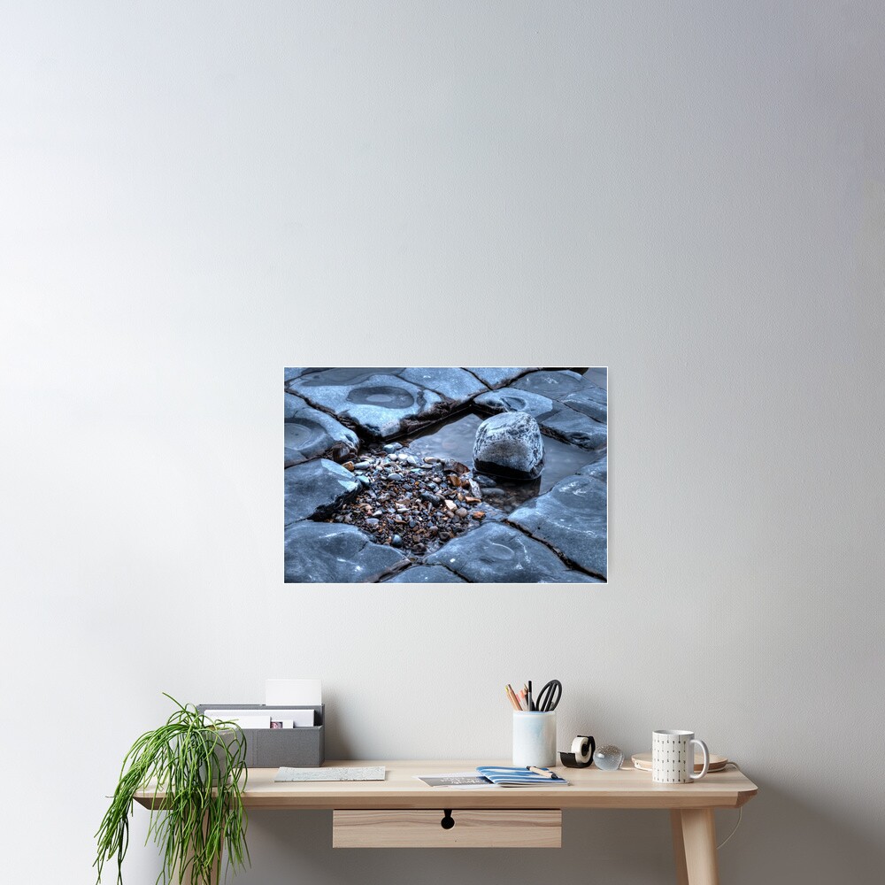Rock Pool Colour Poster