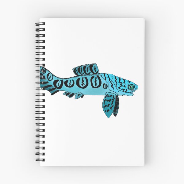 Item preview, Rachiosteus designed and sold by Stanton.