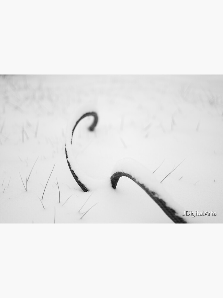 Garden Snakes by JDigitalArts