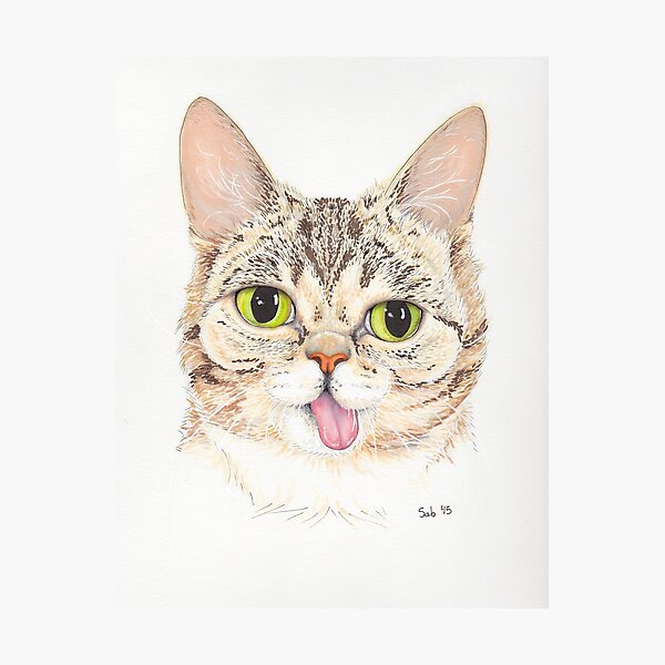 Lil Bub Photographic Print