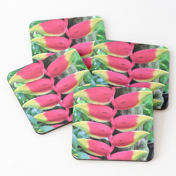 Item preview, TAMalloyPhoto - TOTALLY TROPICAL  designed and sold by TAMalloyPhoto.