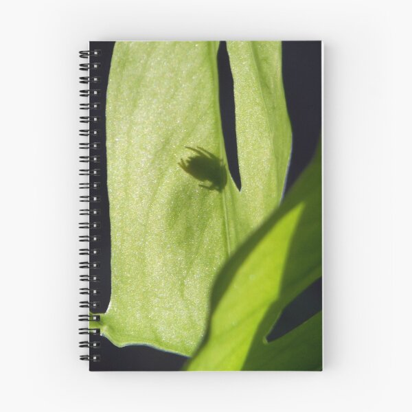 Item preview, ©NS Light And Shadow Leaf IA. designed and sold by OmarHernandez.