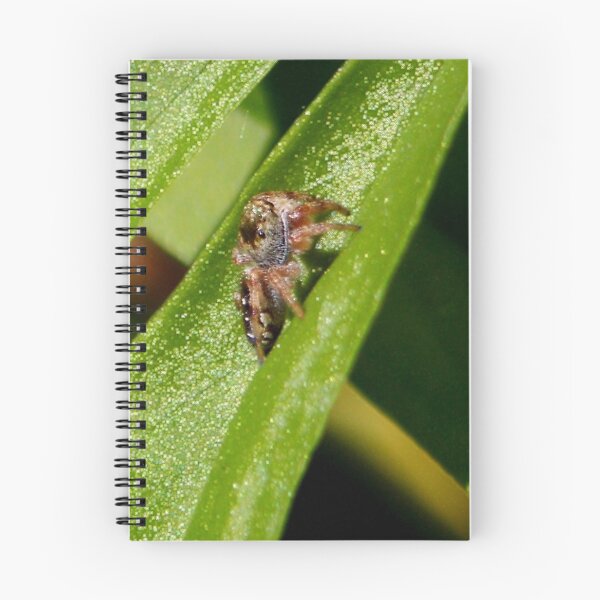 Item preview, ©NS The Sentinel And The Square Bokeh IIA. designed and sold by OmarHernandez.